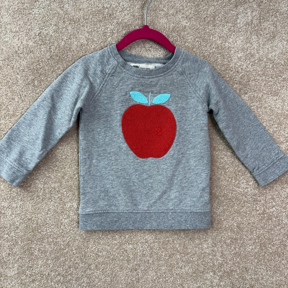 MONICA + ANDY Sweatshirt Girls 18M 24M Gray Apple Organic Cotton School